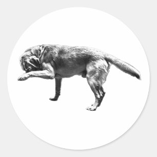 Sticker Rond Empreinte de patte joueur