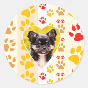 Sticker Rond Empreintes de pattes cardiaques du Chihuahua