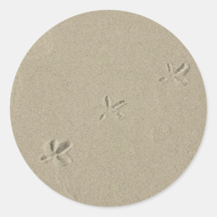 Sticker Rond Empreintes d'oiseaux dans le sable