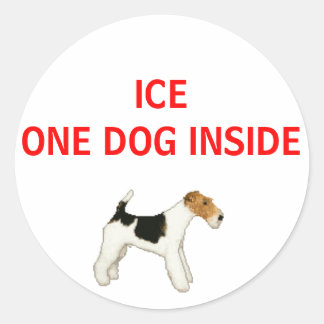 Sticker Rond En Coque D'Urgence Un Chien À L'Intérieur