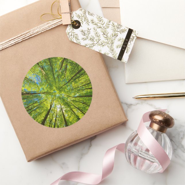 Sticker Rond En regardant à travers les feuilles d'arbres verts (Cadeaux)