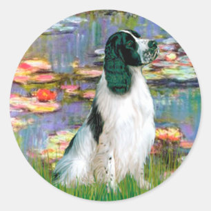 Sticker Rond English Springer 7 - Lys 2