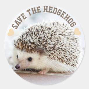 Sticker Rond Enregistrer Le Hérisson