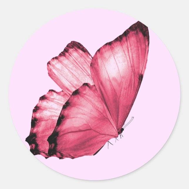Sticker Rond Enveloppe ronde papillon rose (Devant)