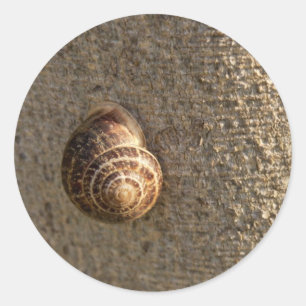 Sticker Rond Escargot