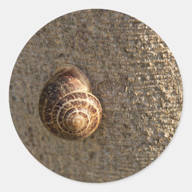 Sticker Rond Escargot (Devant)