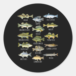 Sticker Rond Espèces De Poisson Biologie Types De Poisson D'Eau
