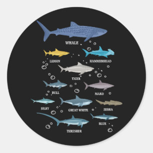 Sticker Rond Espèces de requins Le requin fait face à la biolog