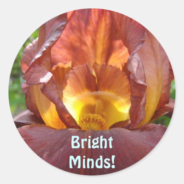Sticker Rond Esprits brillants ! magnet Étudiants Fleurs Iris b (Devant)