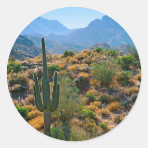 Sticker Rond États-Unis, Arizona. Desert View