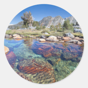 Sticker Rond États-Unis, Californie, Forêt nationale d'Inyo 4