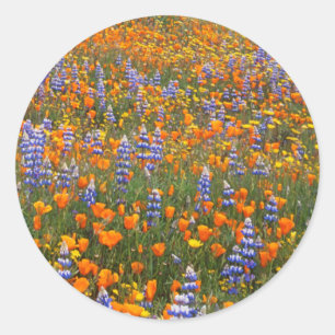 Sticker Rond États-Unis, Californie, Santa Margarita, Avenales
