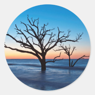 Sticker Rond États-Unis, Caroline du Sud, Edisto Island, Botany