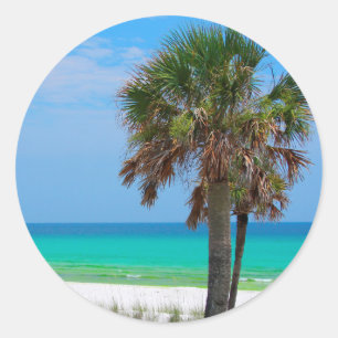 Sticker Rond États-Unis, Floride. Palmiers Sur La Côte D'Émerau