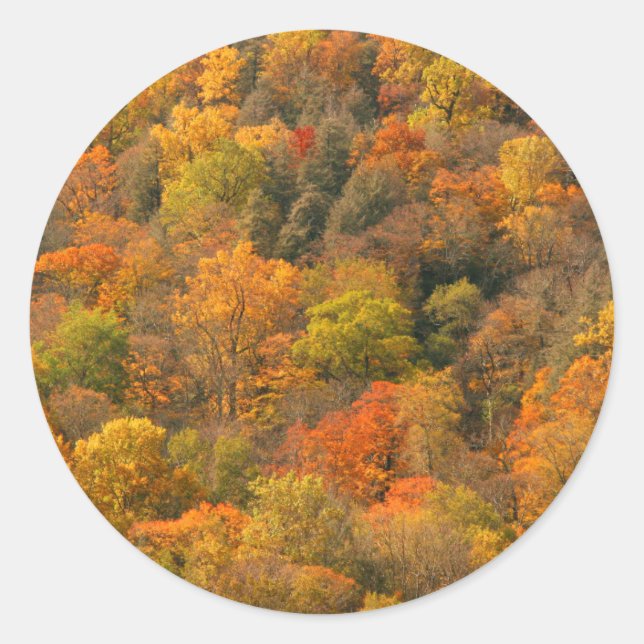 Sticker Rond États-Unis, Tennessee. Édifice d'automne 2 (Devant)