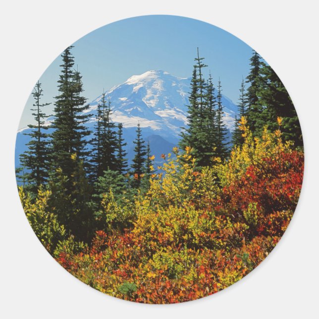 Sticker Rond États-Unis, Washington, Mt. Rainier National Park  (Devant)