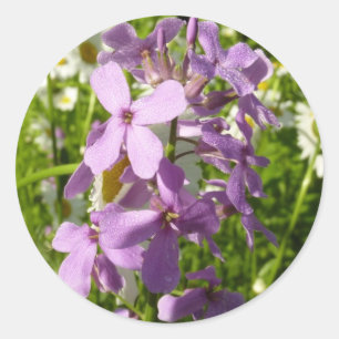 Sticker Rond Été Lilac et marguerites