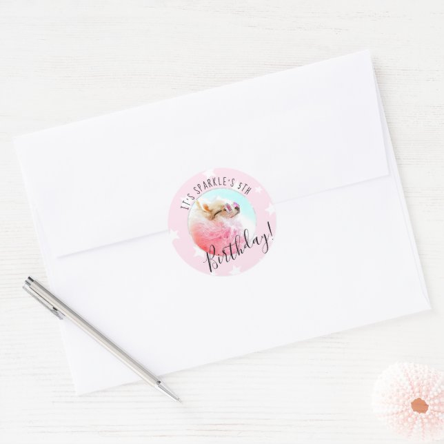 Sticker Rond Étoile pour animaux | Photo Animaux de compagnie f (Enveloppe)