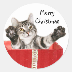 Sticker Rond Étreinte de Noël de Kitty
