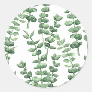 Sticker Rond Eucalyptus 1