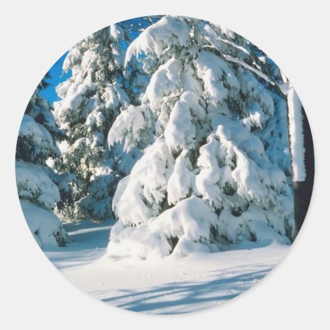 Sticker Rond Evergreens couverts de neige (Devant)