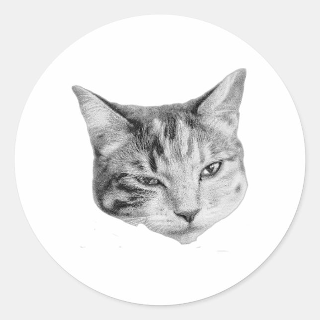 Sticker Rond Évier subtil (Devant)