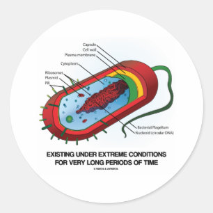 Sticker Rond Exister sous le temps très long extrême de