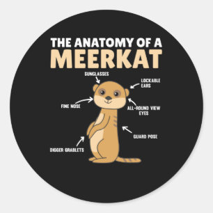 Sticker Rond Explication amusante de l'anatomie d'un Meerkat