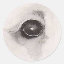 Eye of the Bear – Gaze Collection