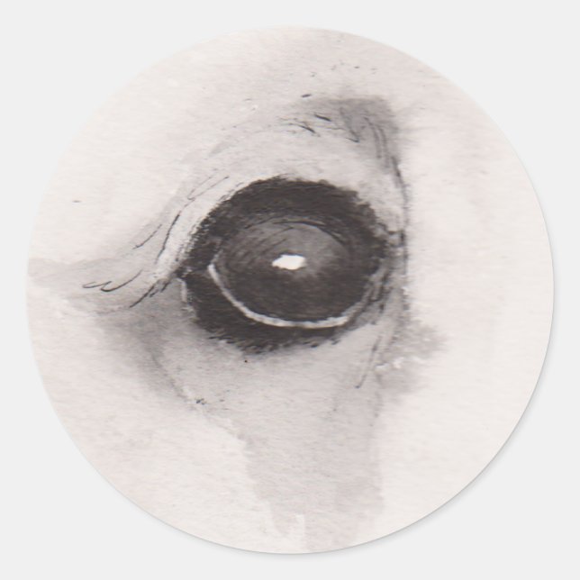 Sticker Rond Eye of the Bear – Gaze Collection (Devant)