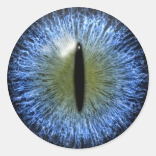 Sticker Rond Eyeball de chat Halloween effrayant