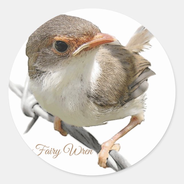 Sticker Rond Fairywren (Devant)