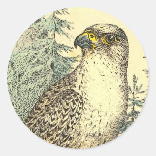 Sticker Rond Falcon