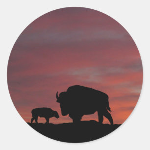 Sticker Rond Famille Bison