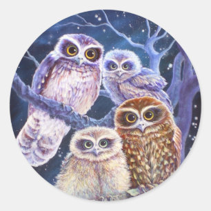 Sticker Rond Famille Boobook Owl