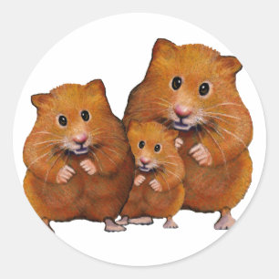Sticker Rond Famille de hamster de trois : mignonne : Crayon co