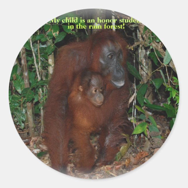 Sticker Rond Famille de l'animal mignon Orangutan Jungle (Devant)