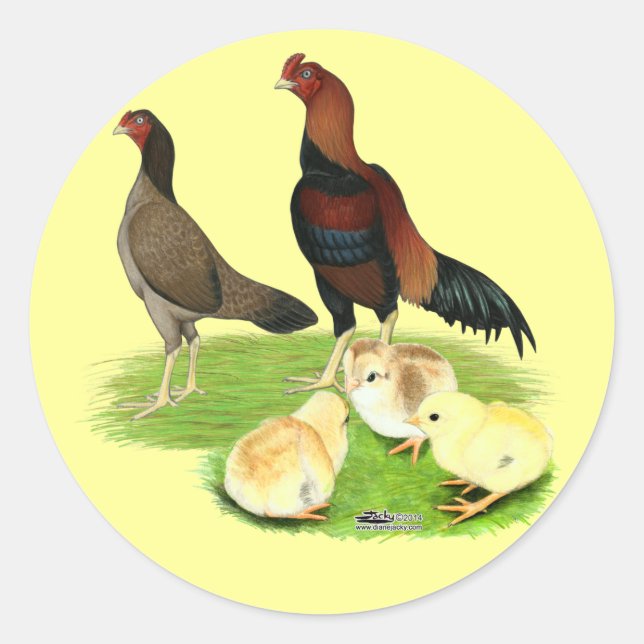 Sticker Rond Famille de poulet Aseel Wheaten (Devant)
