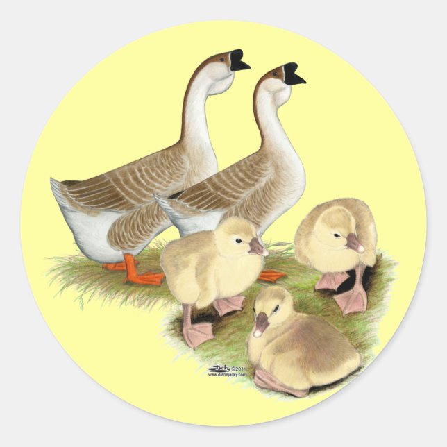 Sticker Rond Famille d'oies africaines (Devant)
