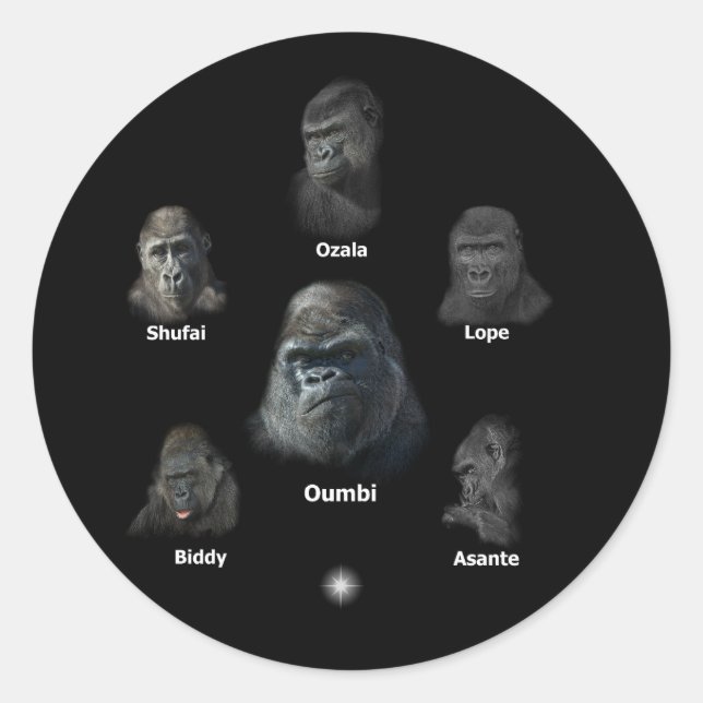 Sticker Rond Famille Gorilla (Devant)