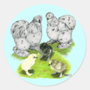 Sticker Rond Famille Silkie Bantam Splash