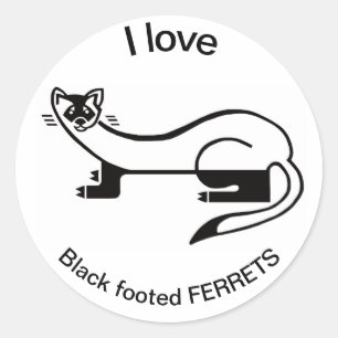 Sticker Rond Faune - J'adore les FERRETS à pieds noirs -