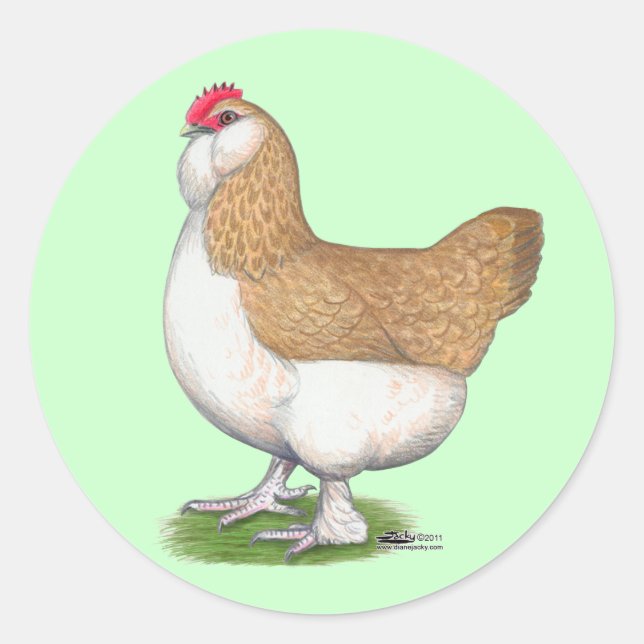 Sticker Rond Faverolle Hen (Devant)