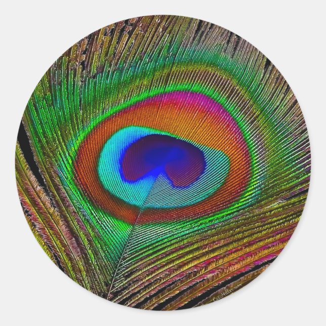 Sticker Rond Feather Vibrant Copper (Devant)