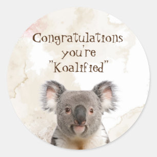 Sticker Rond Félicitations Graduation Fun Koalified Humour Car