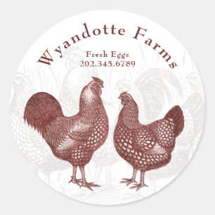 Sticker Rond Ferme de volaille Wyandotte Poulets OEufs frais