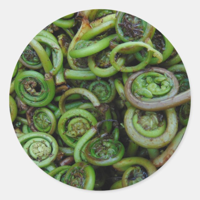 Sticker Rond Fermes de Fiddlehead (Devant)