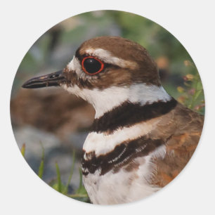 Sticker Rond Fermeture d'un tueur