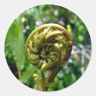 Sticker Rond Fern Frond