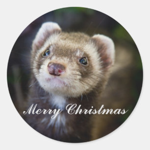 Sticker Rond Ferret Joyeux Noël